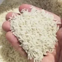 برنج طارم