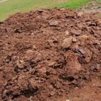 کود گوسفندی