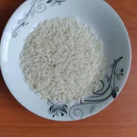 فروش برنج نیم دانه هاشمی ۵۰ کیلو از خود کشاورز