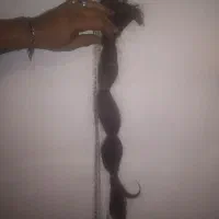 موی طبیعی  بدون رنگ شدگی  کات شده