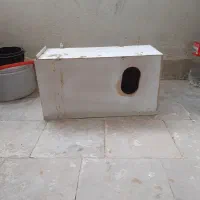 لانه عروس هلندی و پرنده خانگی