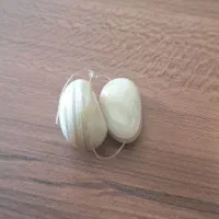 مهره سلیمانی برد