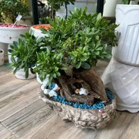 حراج گل از قربان تا غدیر