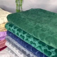 مسافرتی