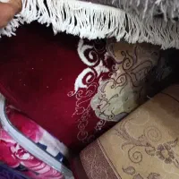 فرش کارکرده سالم
