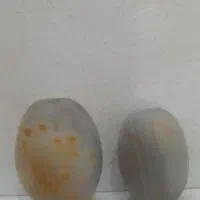 مهره جفت