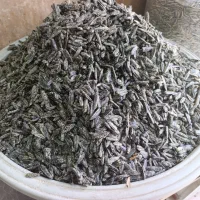 تخمه سیاه