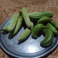 خیار چمبر