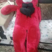 یک عدد شاسخین بزرگ قد 147