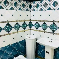 استا کاشیکار تضمینی هستم