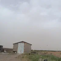 کاارگر مرغداری