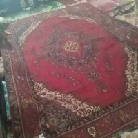 فوری،فروش فرش دستبافت12متری
