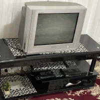 تلوزیون