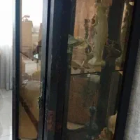 ویترین ظریف تمام چوب