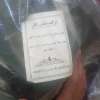 پوتین۴۲