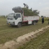 فروش پرس کاه به صورت عمده به سرار کشور