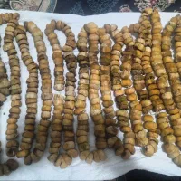 انجیر کیلو ای 500تومان