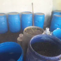 فراوری وتلخی زدایی زیتون