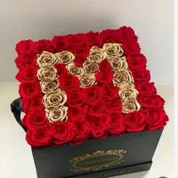 گل سرای زیبا