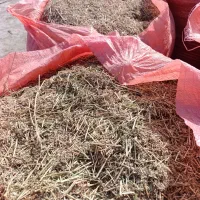 یونجه|لوازم جانبی حیوانات|شمیل, |دیوار