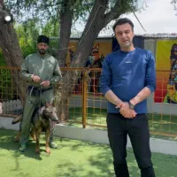 مربی سگ|خدمات آموزشی|کرج, گلشهر|دیوار