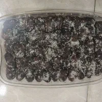 فروش خرما  سایروس پیارم Cyrus piarom