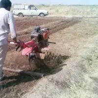 تیلر زنی مزارع زعفران(سله شکنی،چارشاخ زنی)