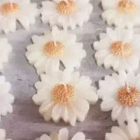 شمع.رزین