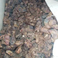 خرمای ضایعاتی