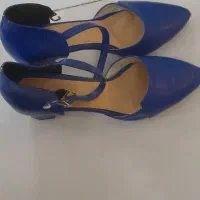 کفش مجلسی