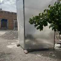 کانکس