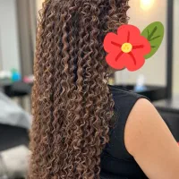 فردائم و احیا فردائم آموزش و خدمات تضمینی