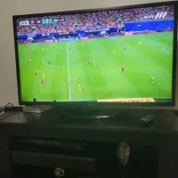 تلوزیون