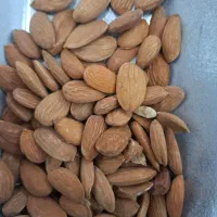 خرید و فروش مغز سنگی