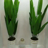 اگه ی