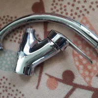 فروش دو عدد شیر نو راسان