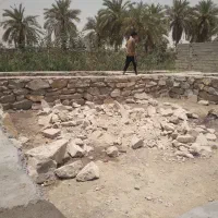 استاد سفت کار