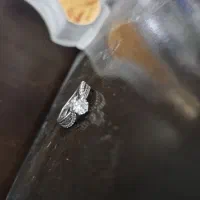 انگشتر نقره