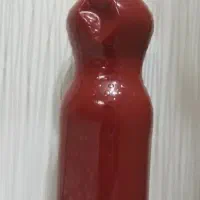 رب خانگی