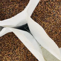 رستری  دان قهوه مسترکافئین پلاس