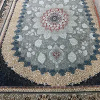 فرش بسیار تمیز فرش 12 متری