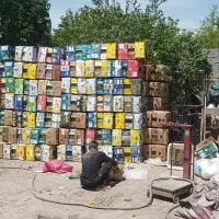 خرید و فروش کارتن موزی و سبد میوه