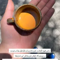 باریستا خانم سالن کار خانم قلیان زن خانم