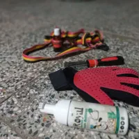 سگ خانگی|سگ|رامهرمز, |دیوار