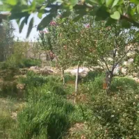 فروش چهار دیواری