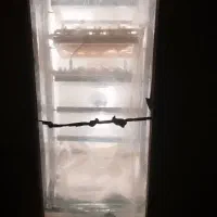 دستگاه جوجه کشی اتوماتیک