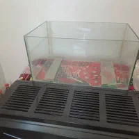 آکواریوم معاوضه با قفس