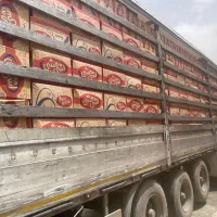راننده نیسان شرکت پخش