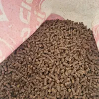 خوراک میگو فردانه