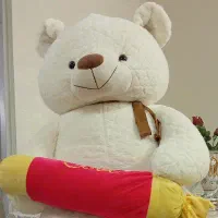 فروش خرس نو